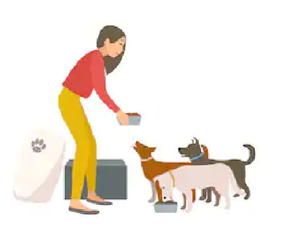 HAYVAN DOSTLARI BESLEME