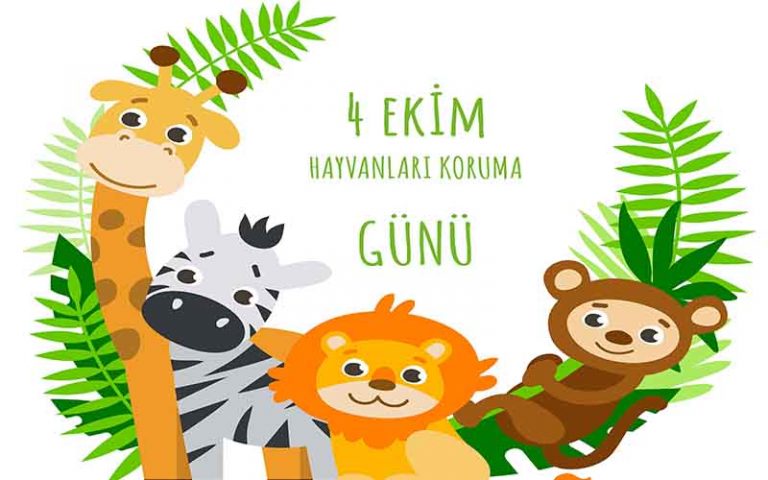 HAYVANLAR KONULU FİLM