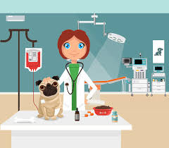 DÜNYA HAYVANLARI KORUMA GÜNÜ